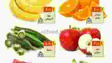 el3rod.com00004-266