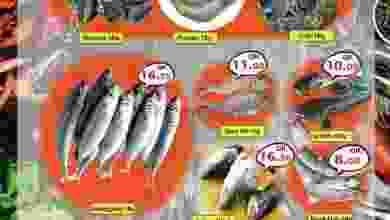 el3rod.com00005-568