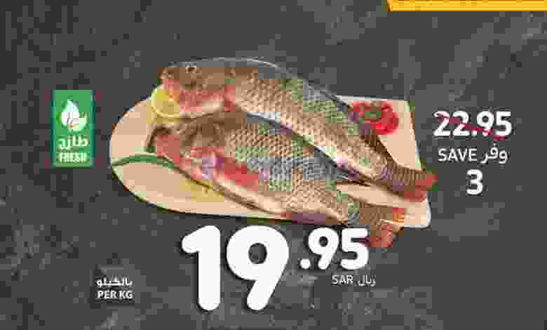 el3rod.com00006-151