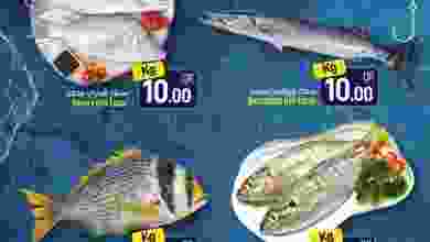 el3rod.com00007-445