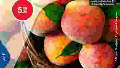 el3rod.com00011-201
