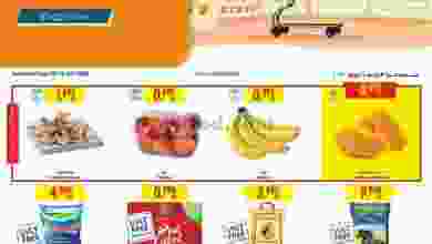 el3rod.com00011-225