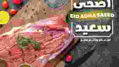 el3rod.com00020-239