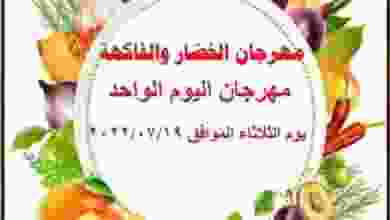 293625142_1988909687985080_4928091871064388273_n