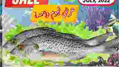 el3rod.com00001-1003