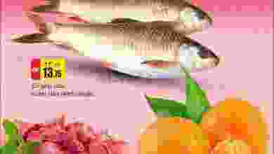 el3rod.com00001-1116
