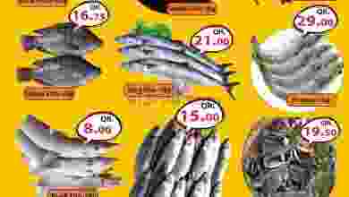 el3rod.com00001-1133