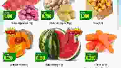 el3rod.com00001-1240