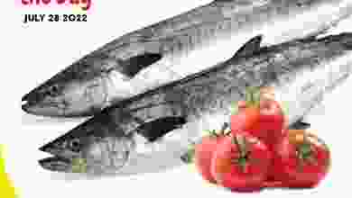 el3rod.com00001-1282