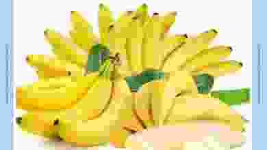 el3rod.com00001-1308