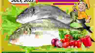 el3rod.com00001-1343