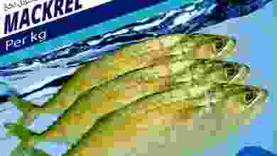 el3rod.com00001-178