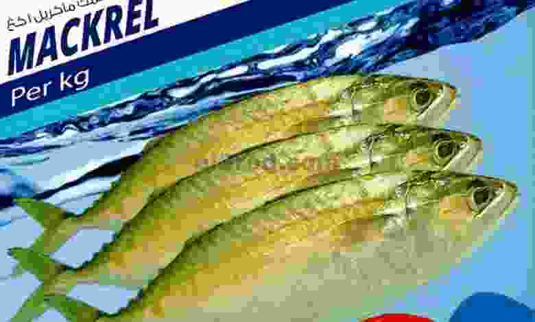 el3rod.com00001-178