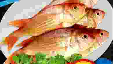 el3rod.com00001-179
