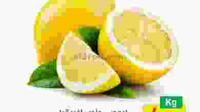 el3rod.com00001-220