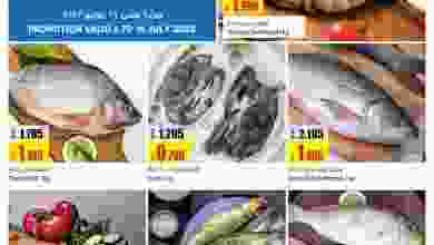 el3rod.com00001-238