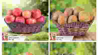 el3rod.com00001-256