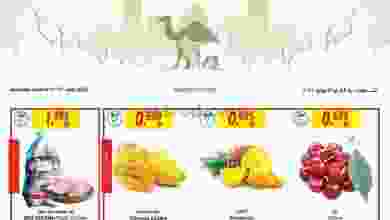 el3rod.com00001-304