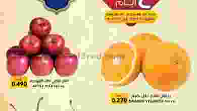 el3rod.com00001-319