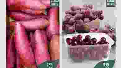 el3rod.com00001-372