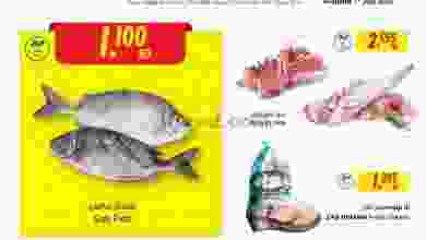 el3rod.com00001-376