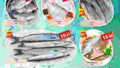 el3rod.com00001-448