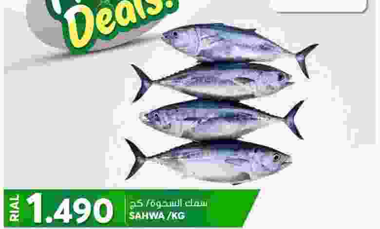 el3rod.com00001-637