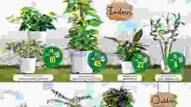 el3rod.com00001-662