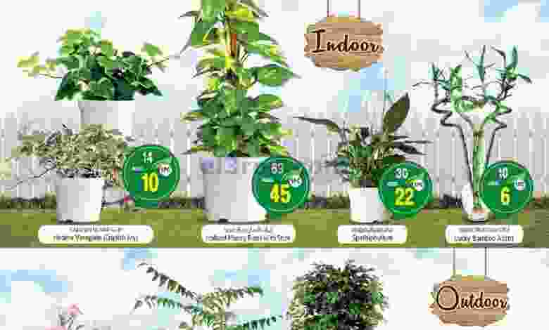 عروض سفاري الامارات|15 حتى 24-7-2022 el3rod.com00001-662
