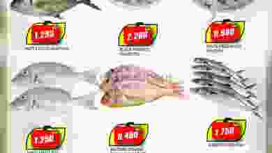 el3rod.com00001-668