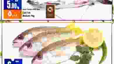 el3rod.com00001-694