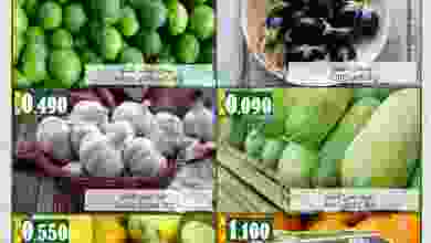 el3rod.com00001-698