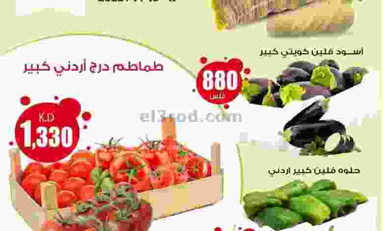 el3rod.com00001-729