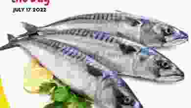 el3rod.com00001-753
