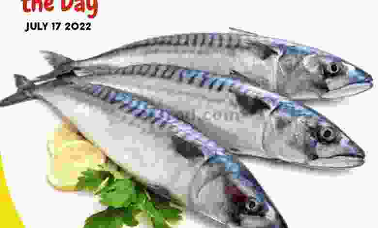 el3rod.com00001-753