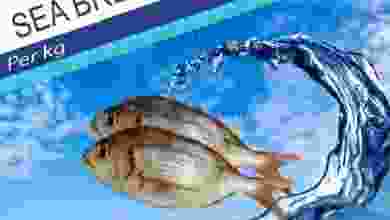 el3rod.com00001-801
