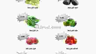 el3rod.com00001-807