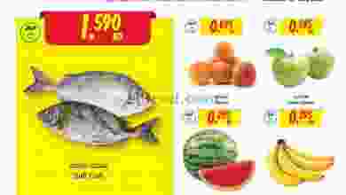 el3rod.com00001-870