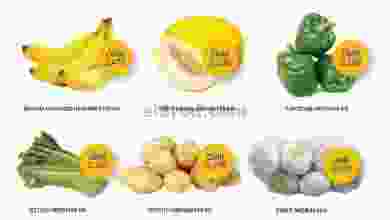 el3rod.com00001-939