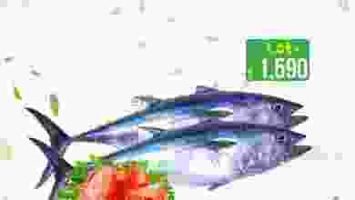 el3rod.com00002-1074