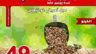 el3rod.com00002-158