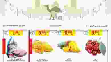 el3rod.com00002-265
