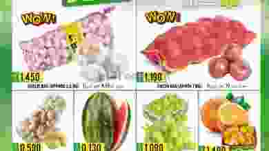 el3rod.com00002-316