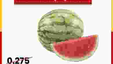 el3rod.com00002-787