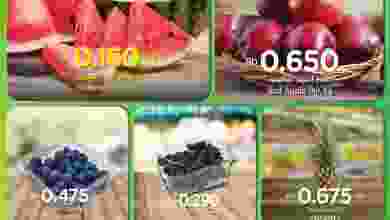 el3rod.com00004-628