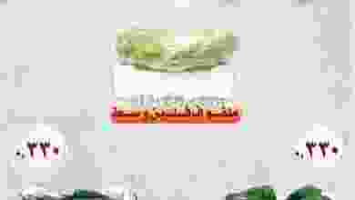 el3rod.com00004-826
