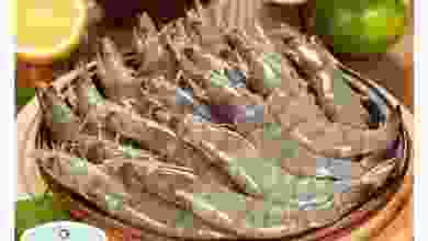 el3rod.com00008-215