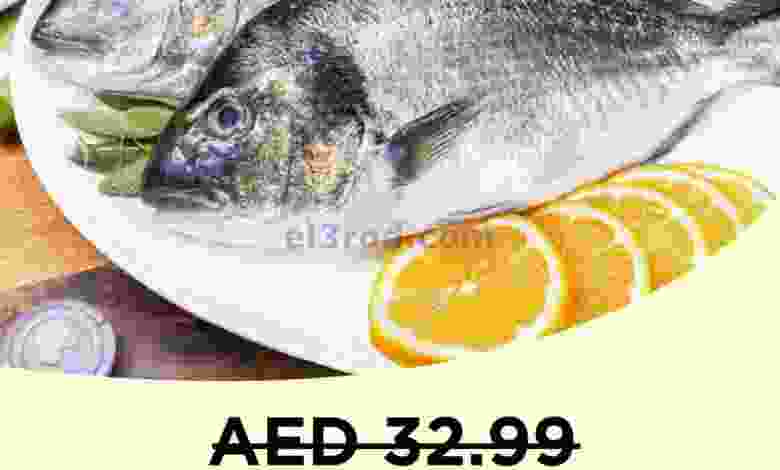 el3rod.com00009-170