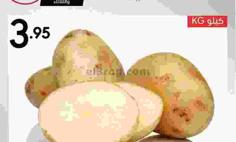 el3rod.com00011-229