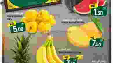 el3rod.com00012-390